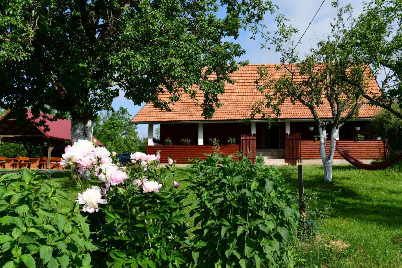 House Luna Rakovica Exterior photo